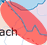 Endgestaltung Alter Rhein