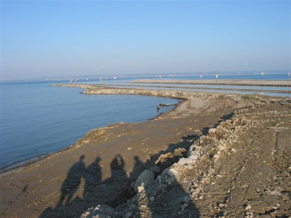 Ökologische Aufwertung der Mündung des Alpenrheins in den Bodensee
