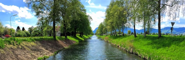 Ökolologische Kompensationsmassnahmen an der Hohenemserkurve