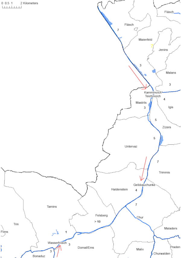 Amphibienvernetzungskonzept