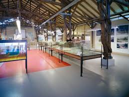 Museum Rhein-Schauen