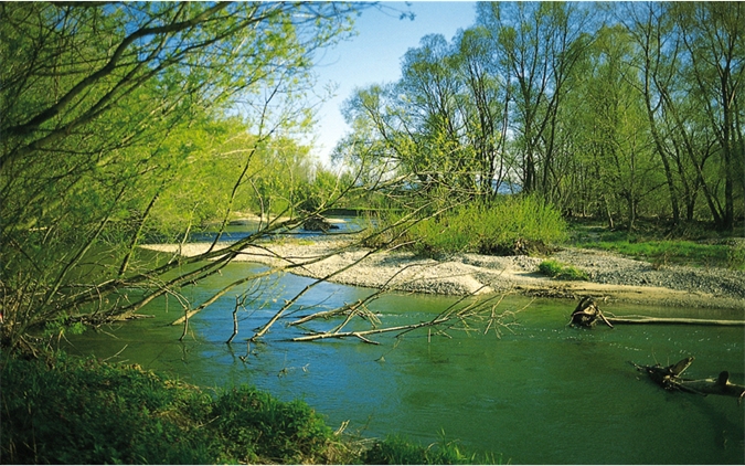 Für den Landlebensraum
